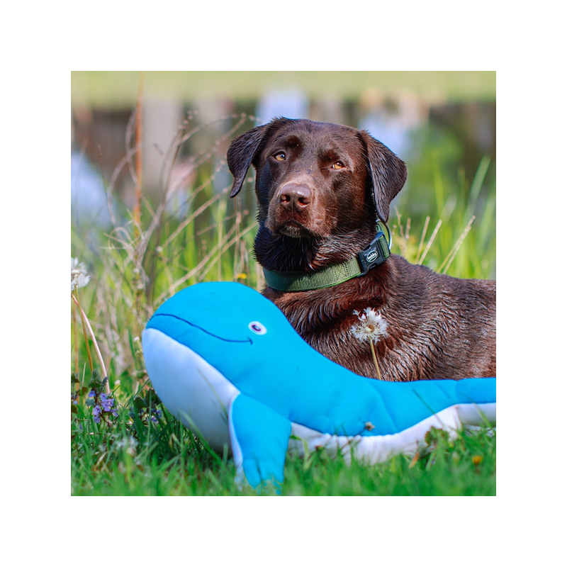 Nobby banginis XL, plūduriuojantis žaislas šunims