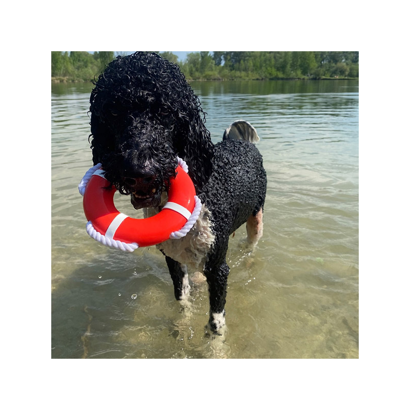 Nobby gelbėjimosi ratas su virve, plūduriuojantis žaislas šunims