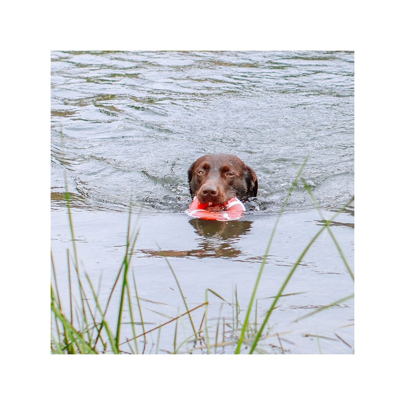 Nobby gelbėjimosi ratas su virve, plūduriuojantis žaislas šunims