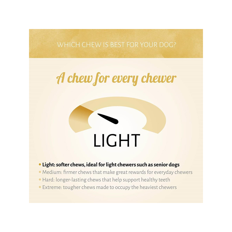 Antos Ice Lollies Refill ledų šunims papildymas, 3 vnt.