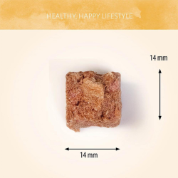 Antos Wild šaltyje džiovinti arklienos skanėstai šunims, 90 g