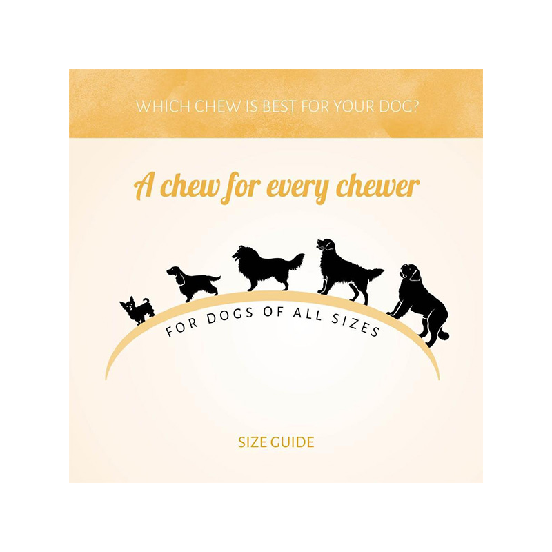 Antos Wild šaltyje džiovinti arklienos skanėstai šunims, 90 g