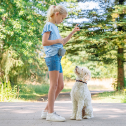 Nobby pilkas, silikoninis skanėstų dėklas, 12,5x4x10,5 cm