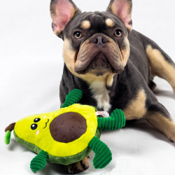 Nobby pliušinis avokadas žaislas šunims