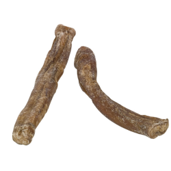 Nobby jaučio penis...