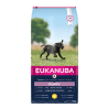 Eukanuba Puppy&Junior L sausas maistas šunims su vištiena, 15 kg