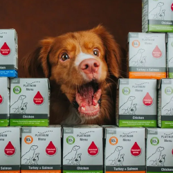 Platinum paštetas šunims su Iberijos kiauliena ir kalakutiena, 375 g