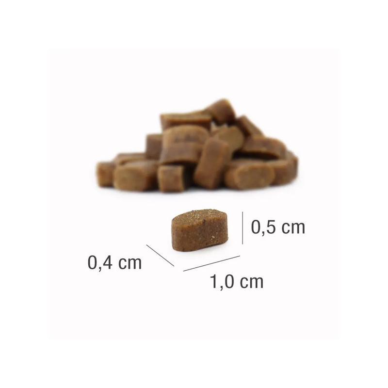 Platinum Adult Mini sausas šunų maistas su jautiena, 900 g