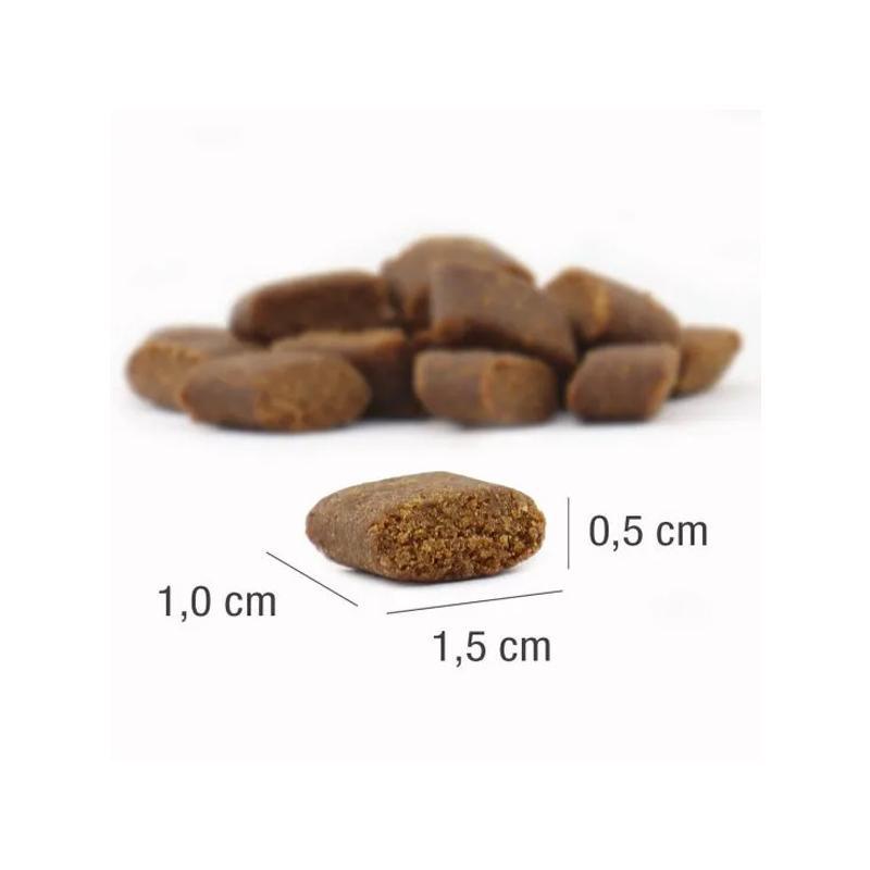 Platinum Adult sausas šunų maistas su jautiena, 5 kg