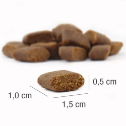 Platinum Adult sausas šunų maistas su ėriena, 5 kg