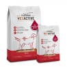 Platinum Vetactive Hypoallergenic sausas šunų maistas su Iberijos kiauliena, 1,5 kg