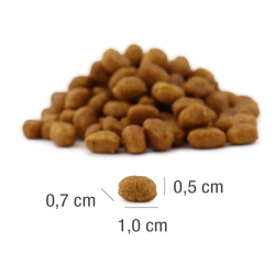 Platinum MeatCrisp sausas maistas sterilizuotoms katėms su žuvimi, 3 kg