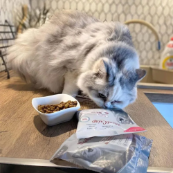 Platinum MeatCrisp Adult sausas maistas katėms su žuvimi, 3 kg