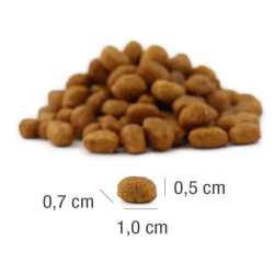 Platinum MeatCrisp sausas maistas sterilizuotoms katėms su vištiena, 3 kg