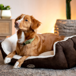 Nobby Taika rudas guolis šunims ir katėms, 55x50x21 cm