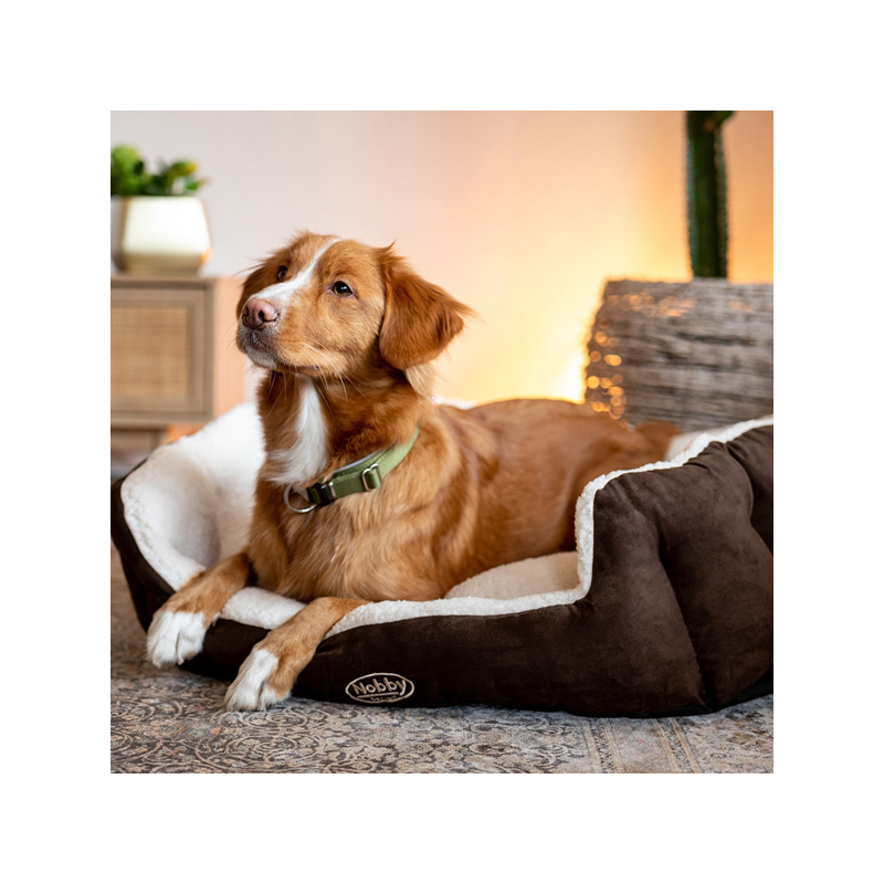 Nobby Taika rudas guolis šunims ir katėms, 55x50x21 cm