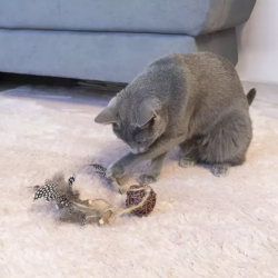 Hap trys kamuoliukai katėms, 31 cm