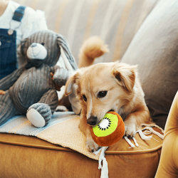 Nobleza pliušinis žaislas šunims, 1 vnt.