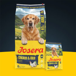Josera Medi/Maxi Chicken&Rice sausas maistas šunims, 12,5 kg