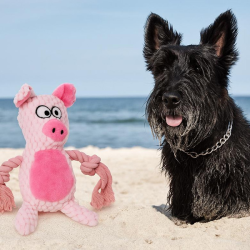 Happet rožinis pliušinis paršelis žaislas šunims, 22 cm
