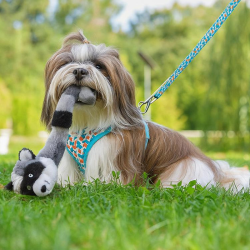 Happet pliušinis meškėnas žaislas šunims, 43 cm