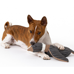 Happet pilka pliušinė antis žaislas šunims, 25 cm