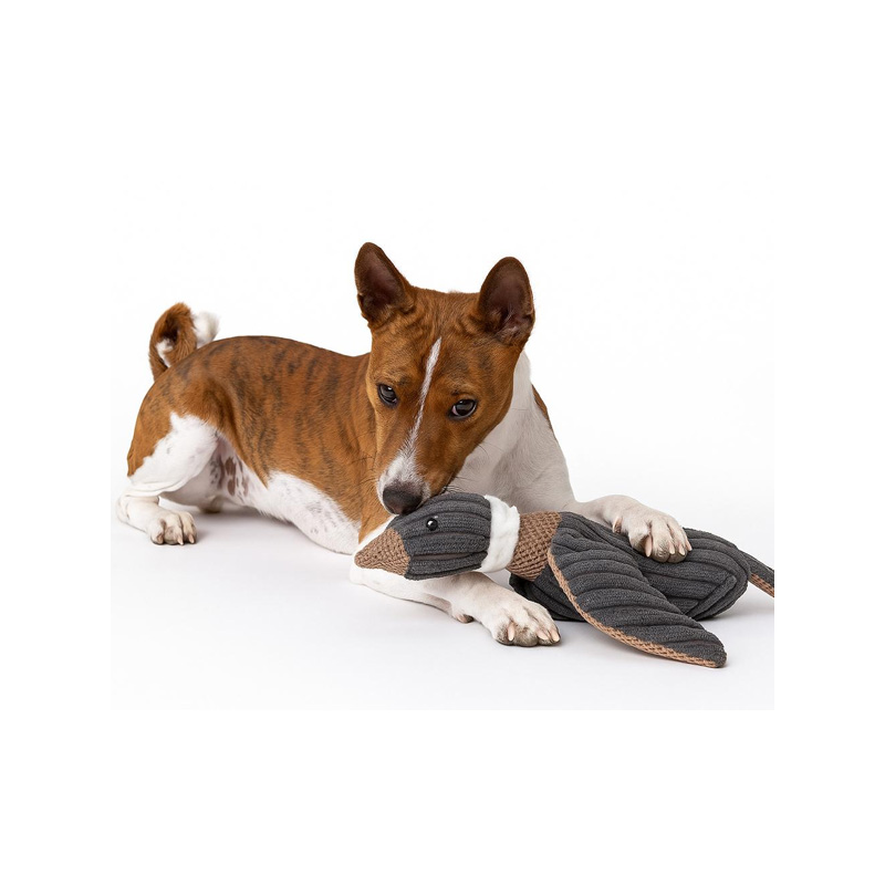 Happet pilka pliušinė antis žaislas šunims, 25 cm