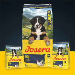 Josera Kids sausas sausas maistas šunims, 12,5 kg