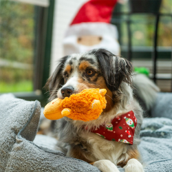 Nobby pliušinis žaislas šunims, 1 vnt.