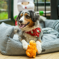 Nobby pliušinis žaislas šunims, 1 vnt.