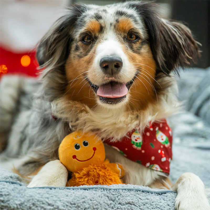 Nobby pliušinis žaislas šunims, 1 vnt.