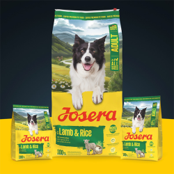 Josera A/S Lamb&Rice sausas maistas šunims, 12,5 kg
