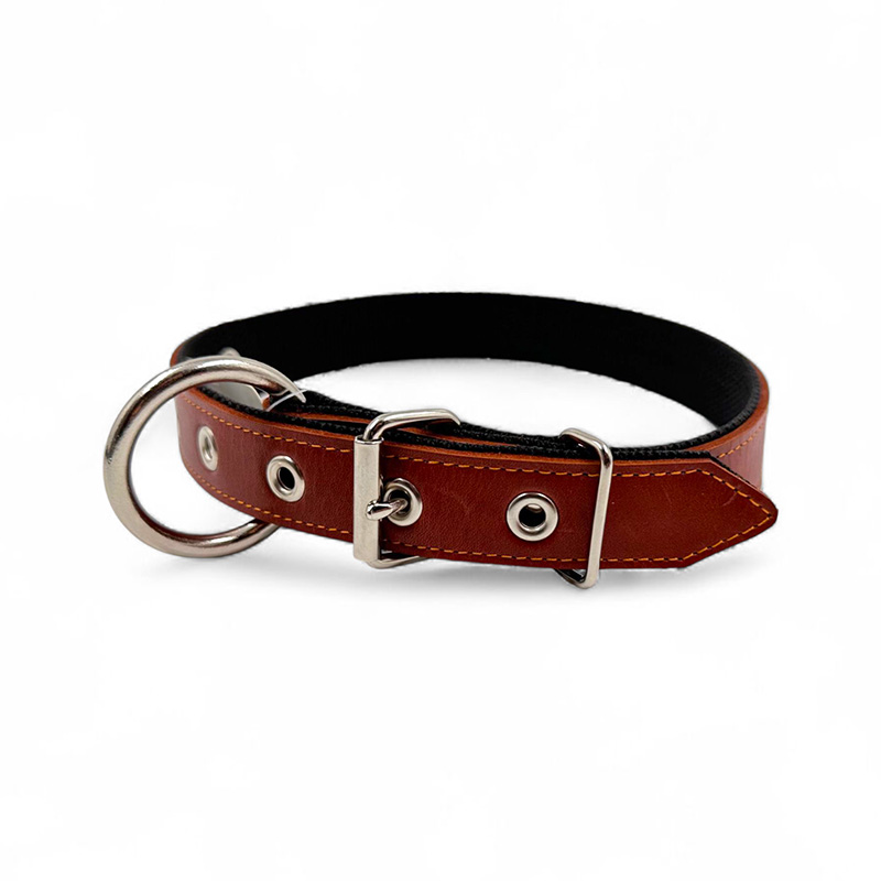 Fleksas rudas, odinis antkaklis su kaprono juosta šunims, 45 cm
