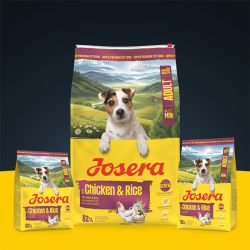 Josera Mini Chicken&Rice sausas maistas šunims, 10 kg
