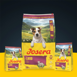 Josera Mini Lamb sausas maistas šunims, 10 kg