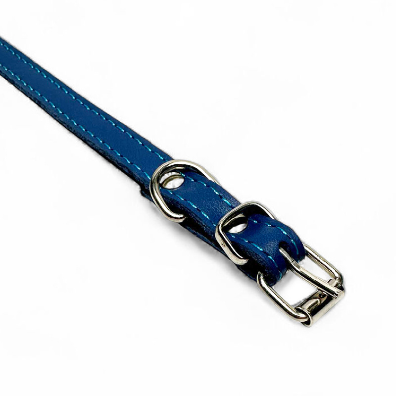 Fleksas mėlynas, odinis antkaklis mažų veislių šunims, 25 cm