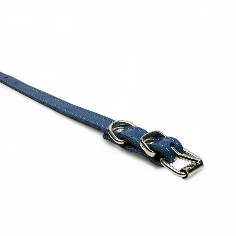 Fleksas mėlynas, odinis antkaklis mažų veislių šunims, 25 cm