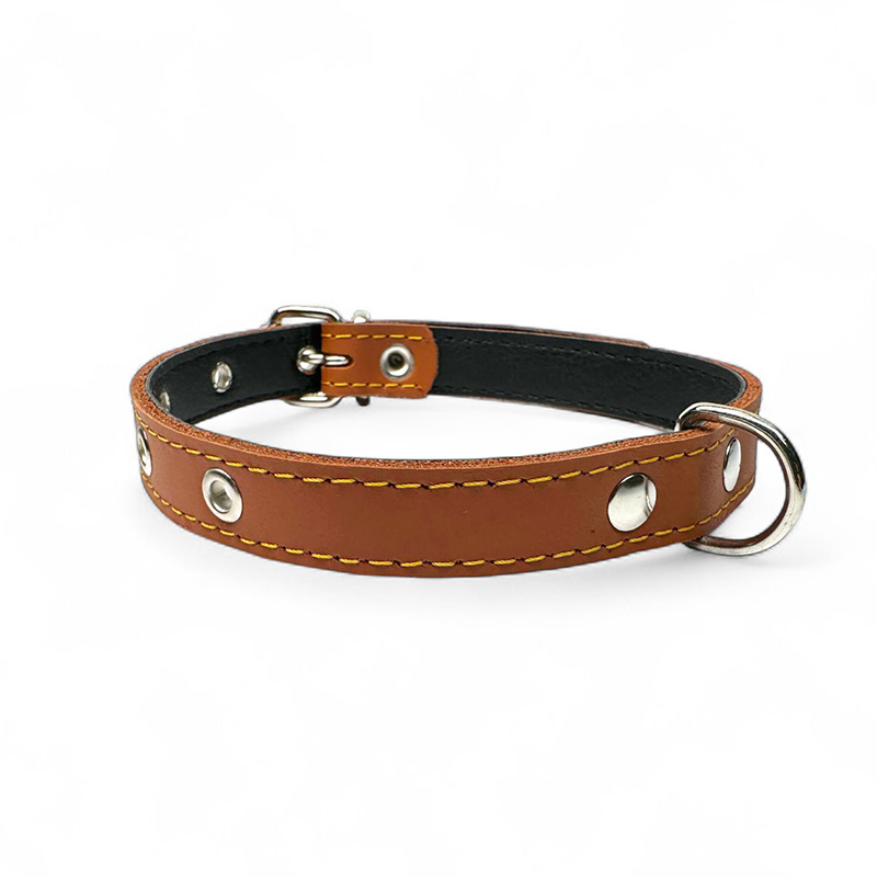 Fleksas rudas, odinis antkaklis su pusžiedžiu šunims, 34 cm