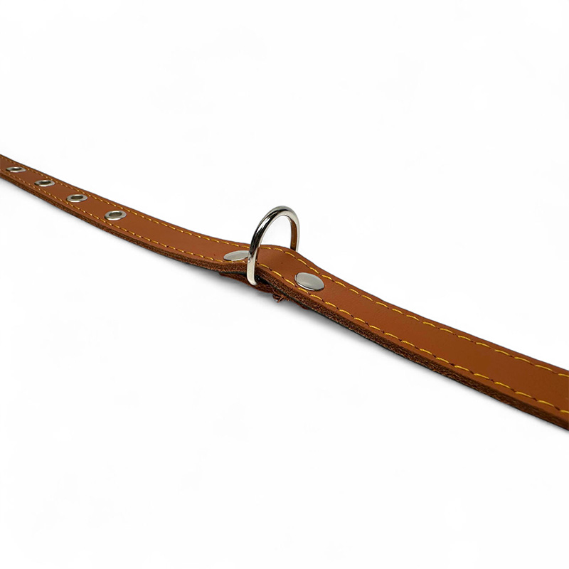 Fleksas rudas, odinis antkaklis su pusžiedžiu šunims, 40 cm