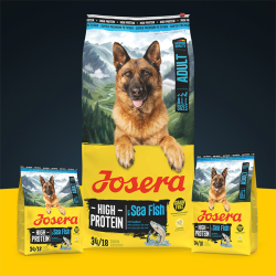 Josera High Protein Sea Fish sausas maistas šunims, 900 g