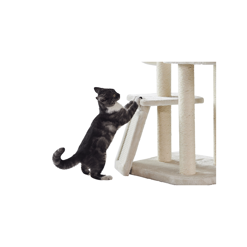 Nobby Dilan draskyklė katėms