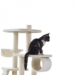 Nobby Dilan draskyklė katėms